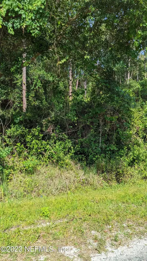 317 Tropic Ave, Satsuma, FL 32189