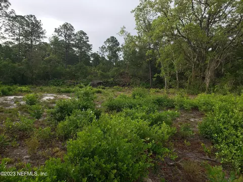 117 Moon Lake Dr, Crescent City, FL 32112