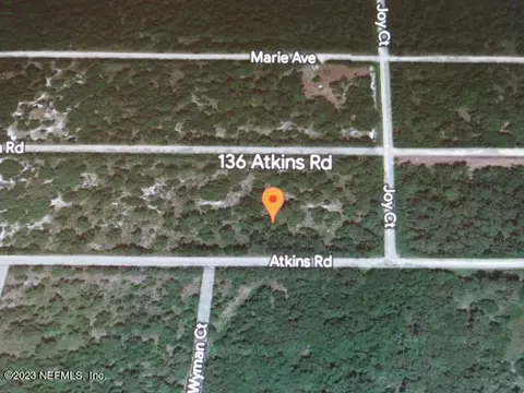 136 Atkins Rd, Georgetown, FL 32139