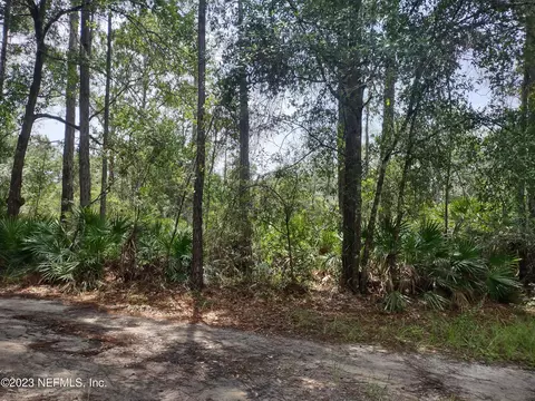225 Longhorn Trl, Interlachen, FL 32148