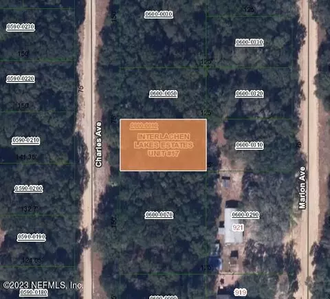 0 Charles Ave, Interlachen, FL 32148