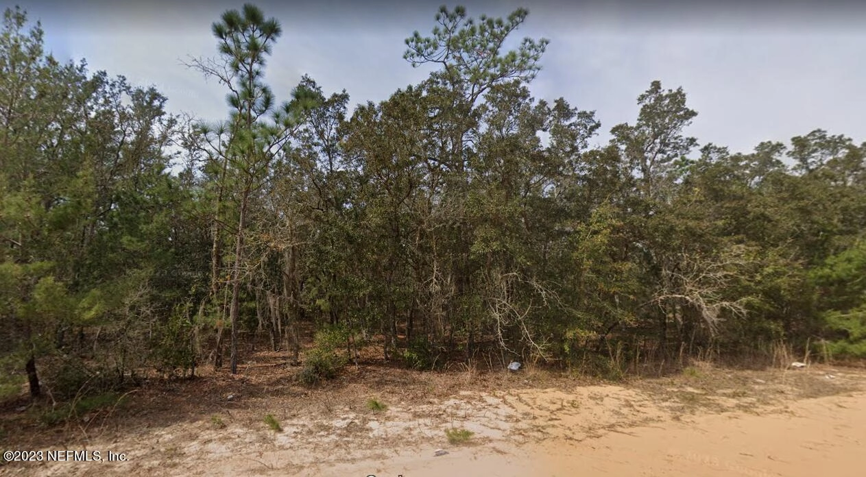 Lot 3233 Neisman Ave  