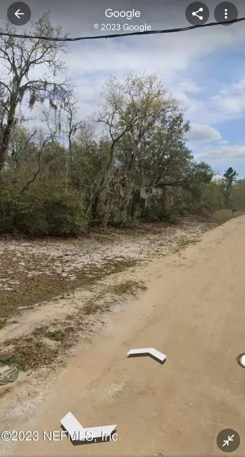 Unassigned Guy Ave, Interlachen, FL 32148