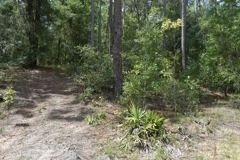0 Hoot Owl Rd, Satsuma, FL 32189