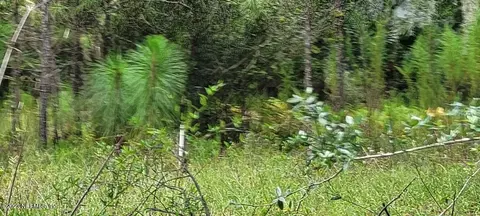 3588 Dyess Rd, Middleburg, FL 32068