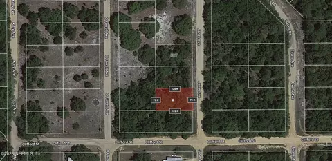 13 Janet Avenue, Interlachen, FL 32148