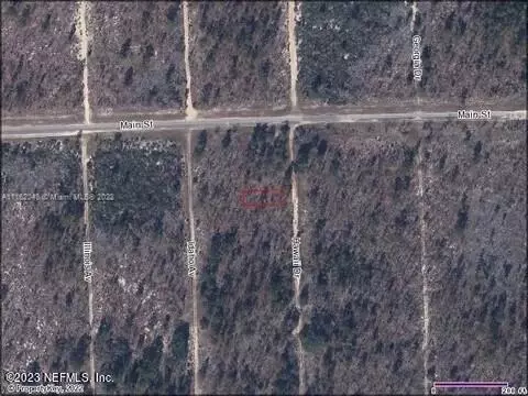 141-143 Hawaii Dr, Hawthorne, FL 32640
