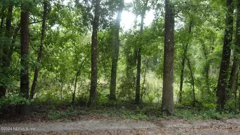141 Crosby Rd, Florahome, FL 32140 photo 20