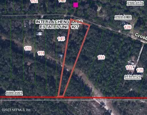 141 Crosby Rd, Florahome, FL 32140 photo 13