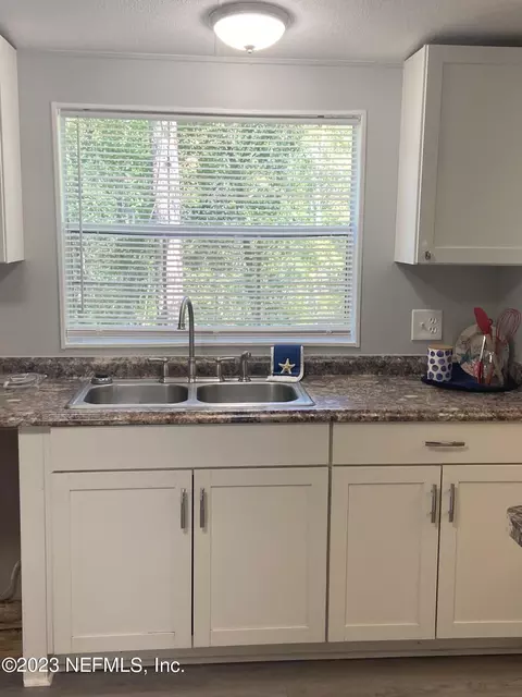 52 Mint Cir, Middleburg, FL 32068