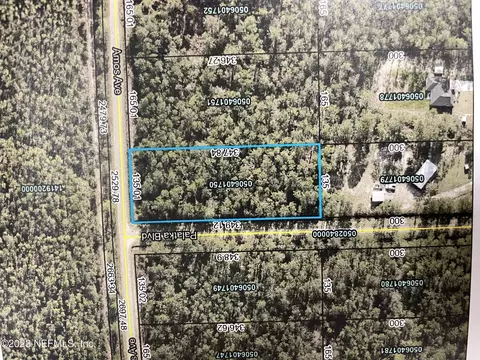 10605 Amos Ave, Hastings, FL 32145