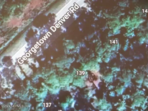 139 Georgetown Denver Rd, Georgetown, FL 32139