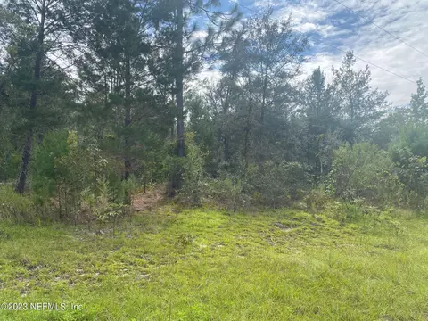 Nnn Honeysuckle Trail, Hawthorne, FL 32640