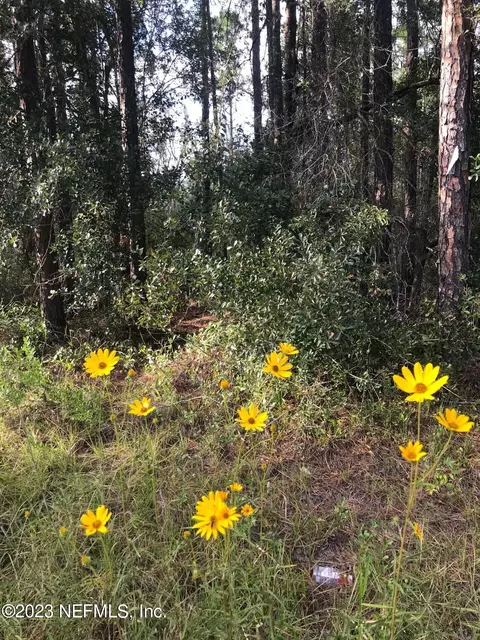 lot S 1314 Canine St, Interlachen, FL 32148