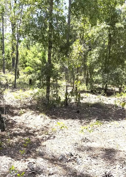 126 Tyler Trl, Hawthorne, FL 32640