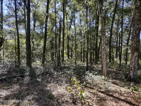9 Fred St, Interlachen, FL 32148