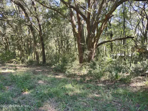 5 Weeks Ave, Interlachen, FL 32148