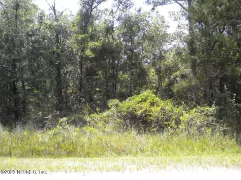 10435 Carpenter Ave, Hastings, FL 32145