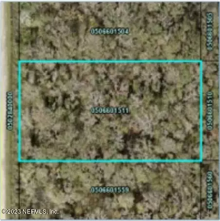 10610 Vaughan Ave, Hastings, FL 32145