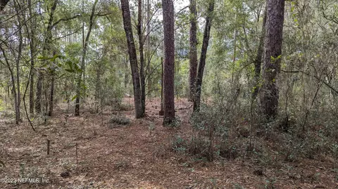 0 Silver Dollar Pond Rd, Hawthorne, FL 32640