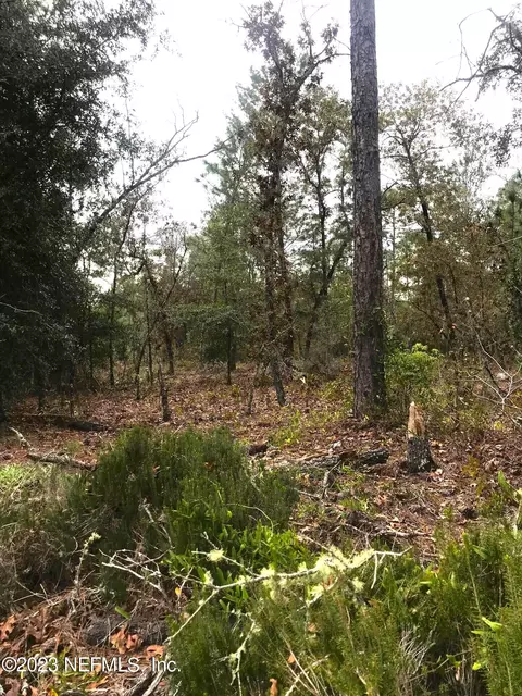 lot S 3334 Monroe St, Interlachen, FL 32148