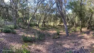 101 Mahan Rd, Interlachen, FL 32148