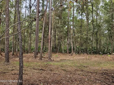 236 Helen Ave, Georgetown, FL 32139