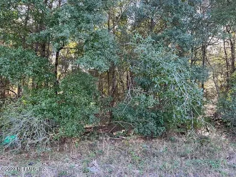 0 Unassigned Address, Interlachen, FL 32148