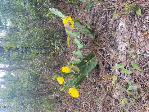 2041 River Bend Plantation Dr, Carrabelle, FL 32323