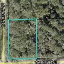 6540 Walnut Ave, Bunnell, FL 32110
