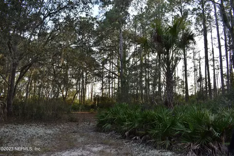249 Simpson Dr, Interlachen, FL 32148 photo 27