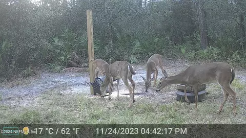 150 Fawn Trl, Palatka, FL 32177