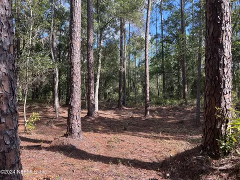 136 Georgetown Denver Rd, Georgetown, FL 32139