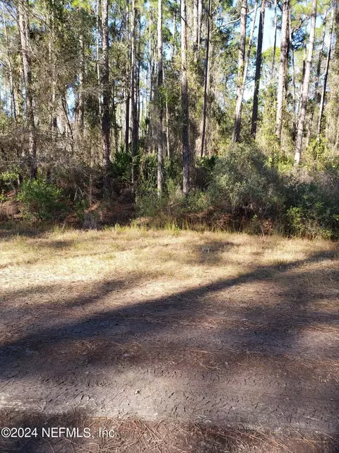 106 Helen Ave, Georgetown, FL 32139