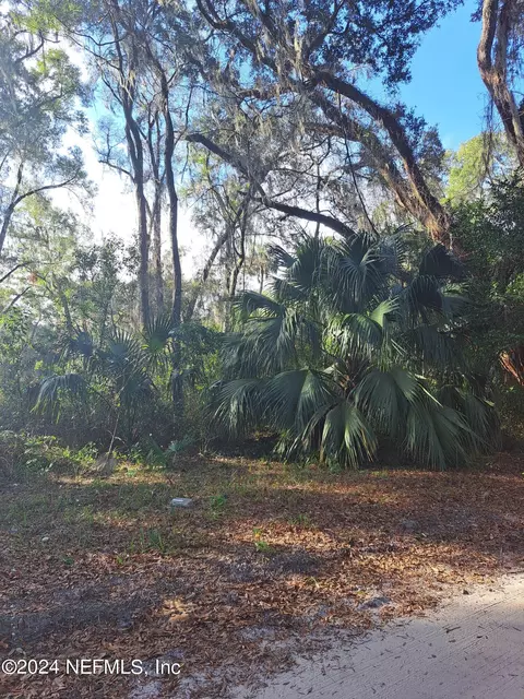 0 NE 142 Pl, Anthony, FL 32617