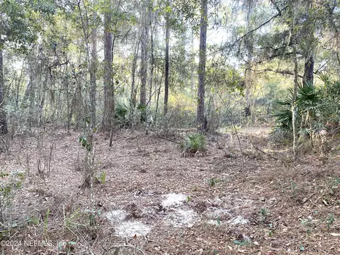 114 Easy St, Florahome, FL 32140