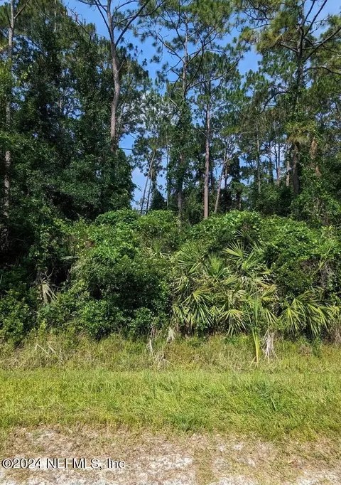 00 Roddy Rd, Palatka, FL 32177