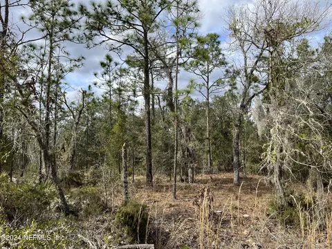 X Lake Lucy Court, Interlachen, FL 32148