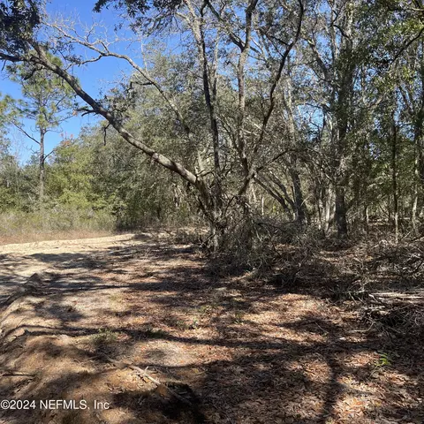 0 SW 41st St, Interlachen, FL 32148
