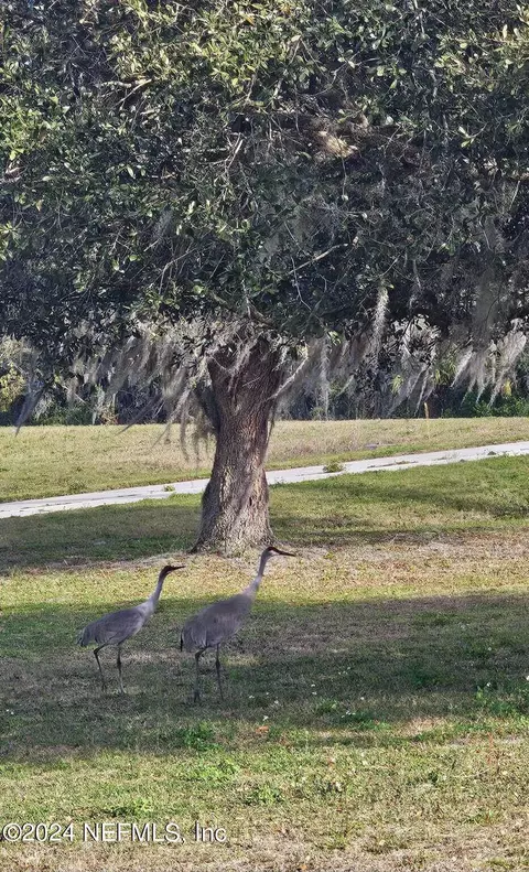 0 Lily Trl, Interlachen, FL 32148 photo 15
