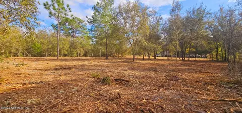 0 Lily Trl, Interlachen, FL 32148 photo 2
