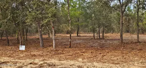 0 Lily Trl, Interlachen, FL 32148 photo 3