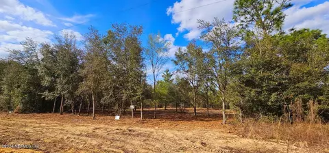 0 Lily Trl, Interlachen, FL 32148 photo 11