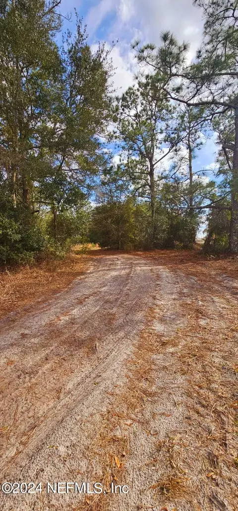 0 Lily Trl, Interlachen, FL 32148 photo 10
