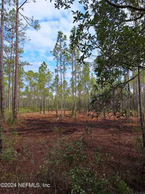 00 E Dixie St, Palatka, FL 32177