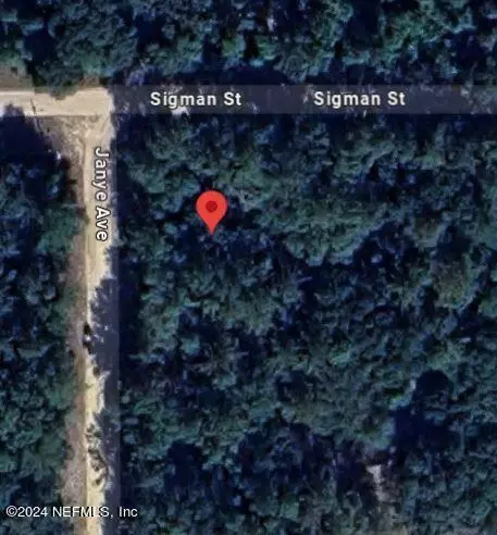 141 Sigman St, Florahome, FL 32140 photo 4