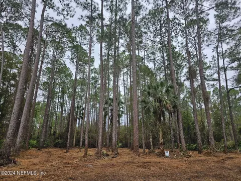 211 4th St, Georgetown, FL 32139 photo 2