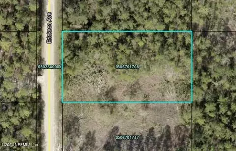 10680 Erickson Ave, Hastings, FL 32145