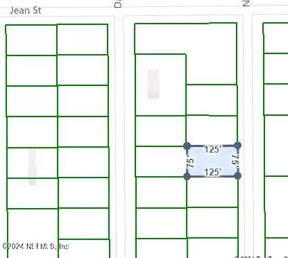 X Norman Avenue, Interlachen, FL 32148