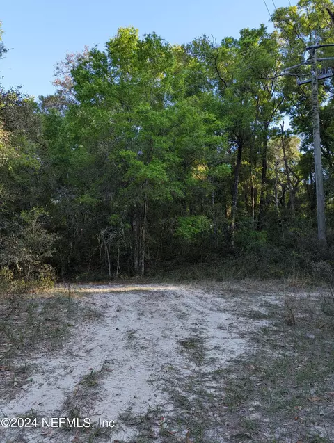 161 Peach Orchard Rd, Pomona Park, FL 32181